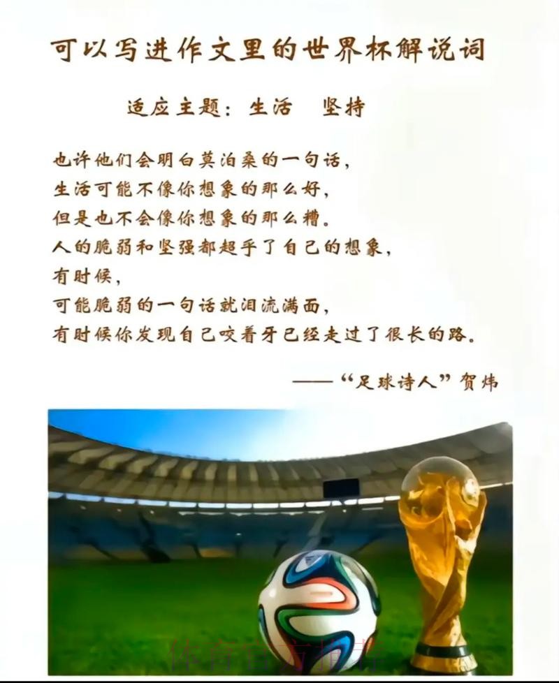 世界杯下注入口：专家解读，助你稳操胜券