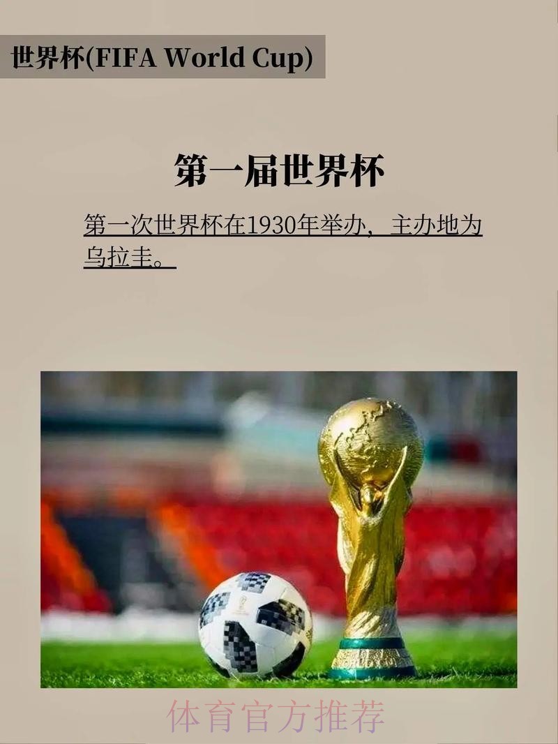 世界杯下注入口：专家解读，助你稳操胜券